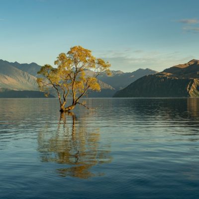 New Zealand